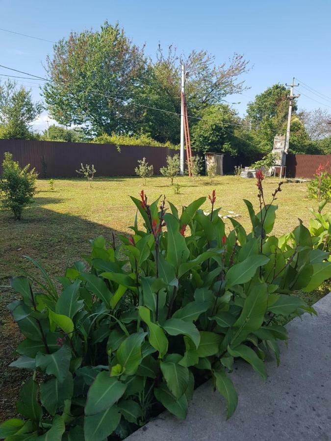 Solnechny Bereg Guest House กูเดาทา ภายนอก รูปภาพ