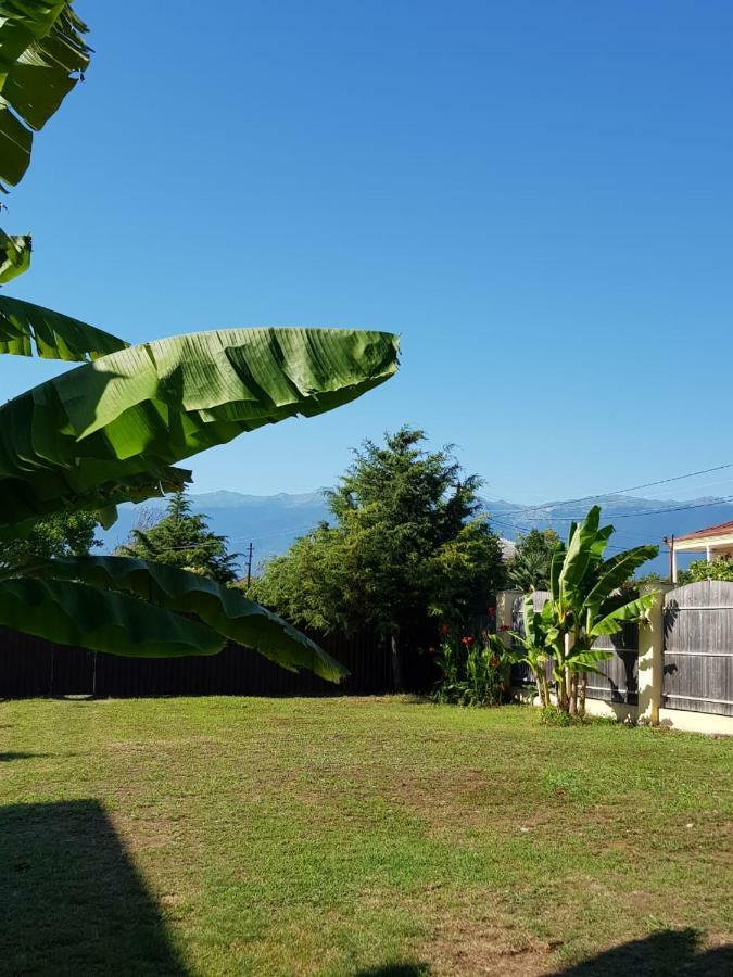 Solnechny Bereg Guest House กูเดาทา ภายนอก รูปภาพ